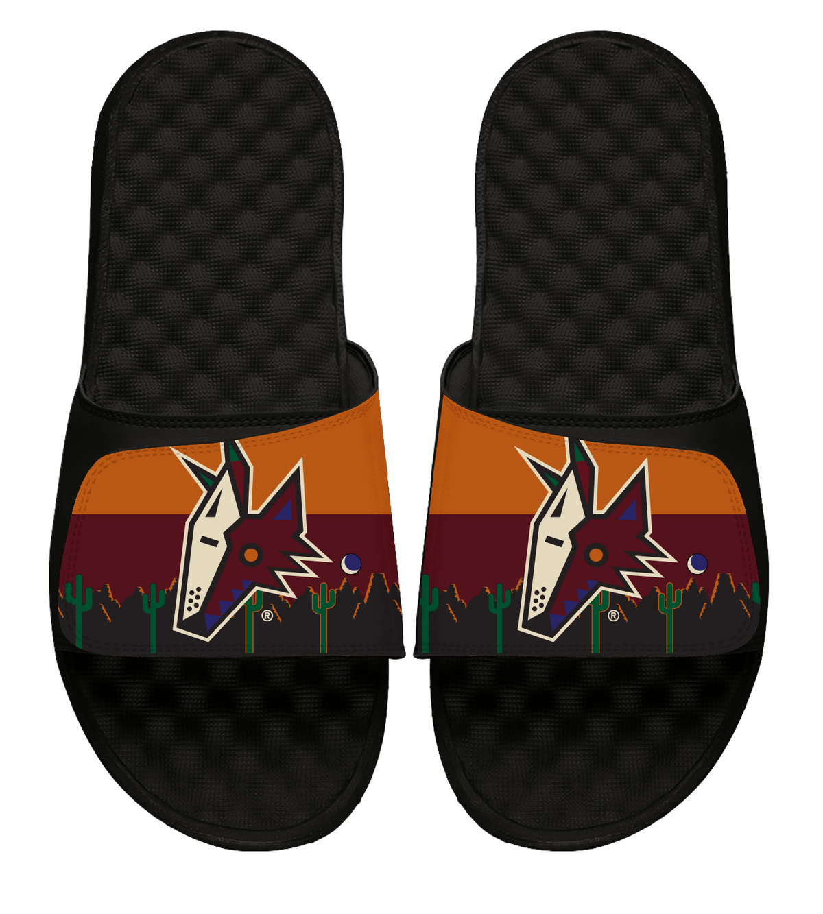 Arizona Coyotes Reverse Retro Slides