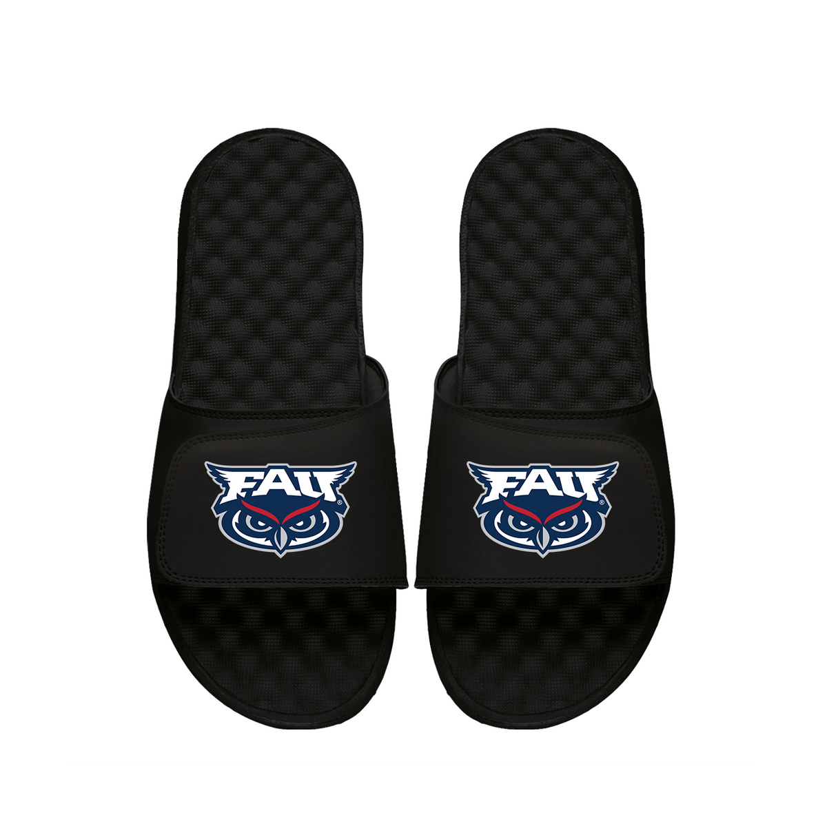 FAU Primary Logo Slides