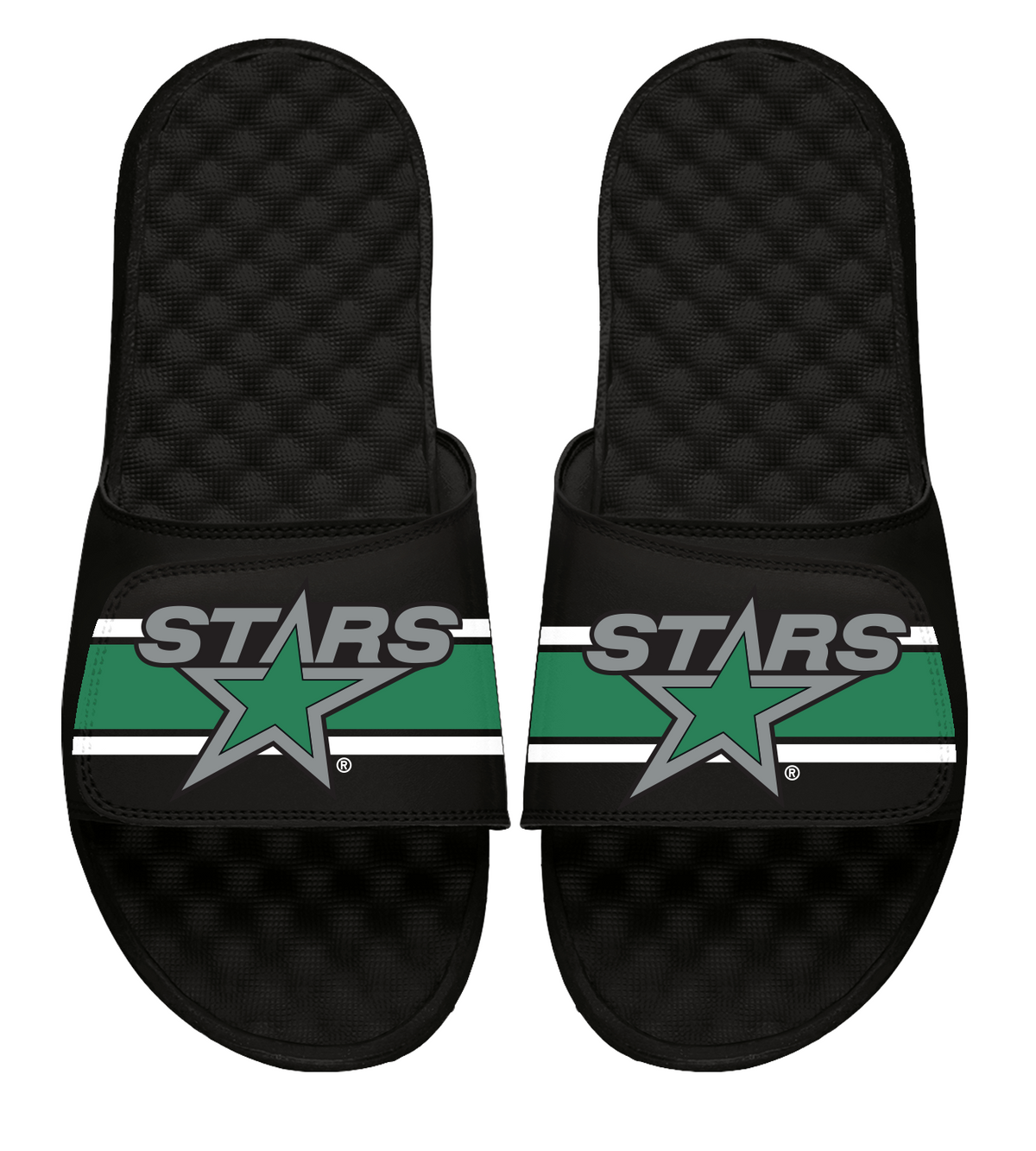 Dallas Stars Reverse Retro Slides
