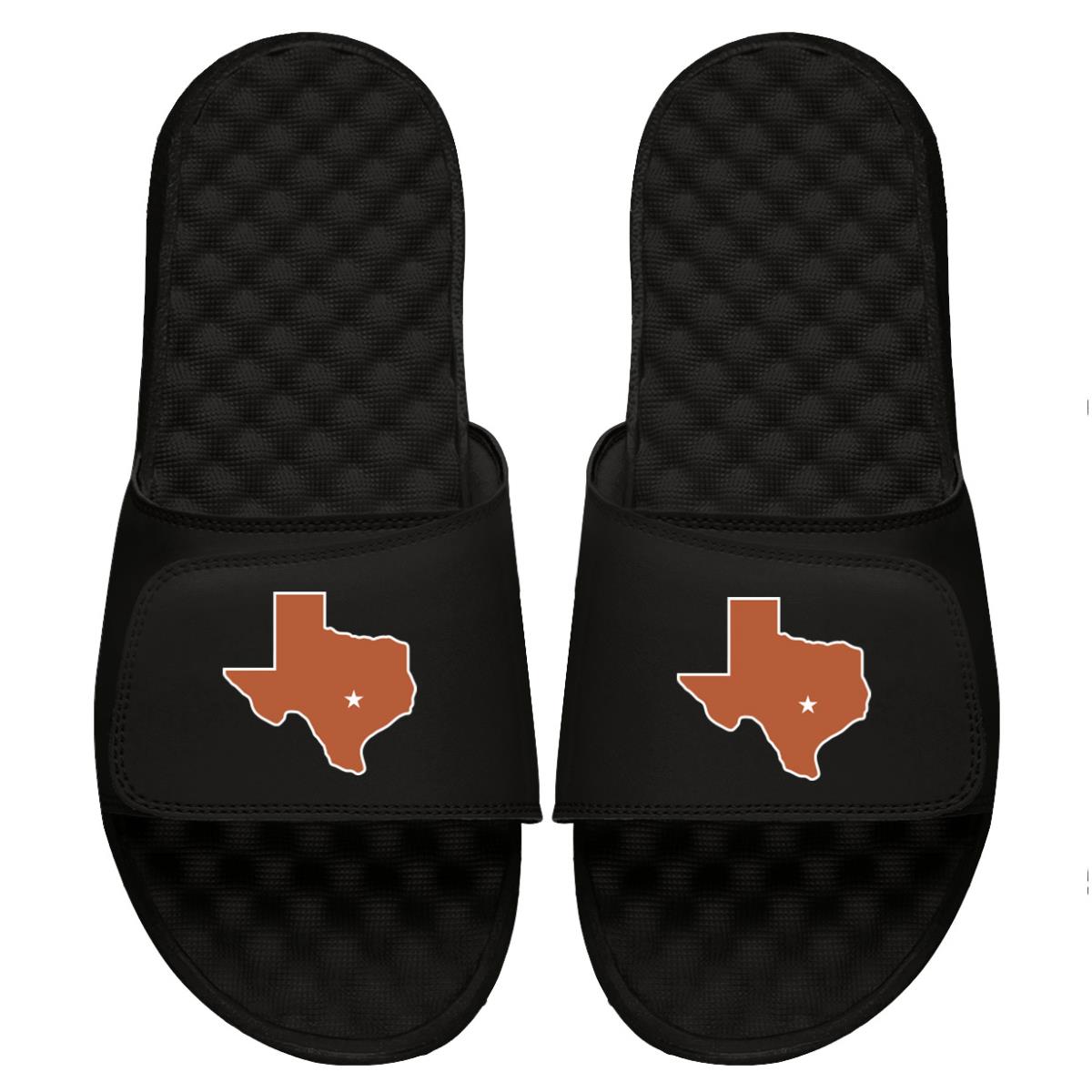 Texas State Logo Slides