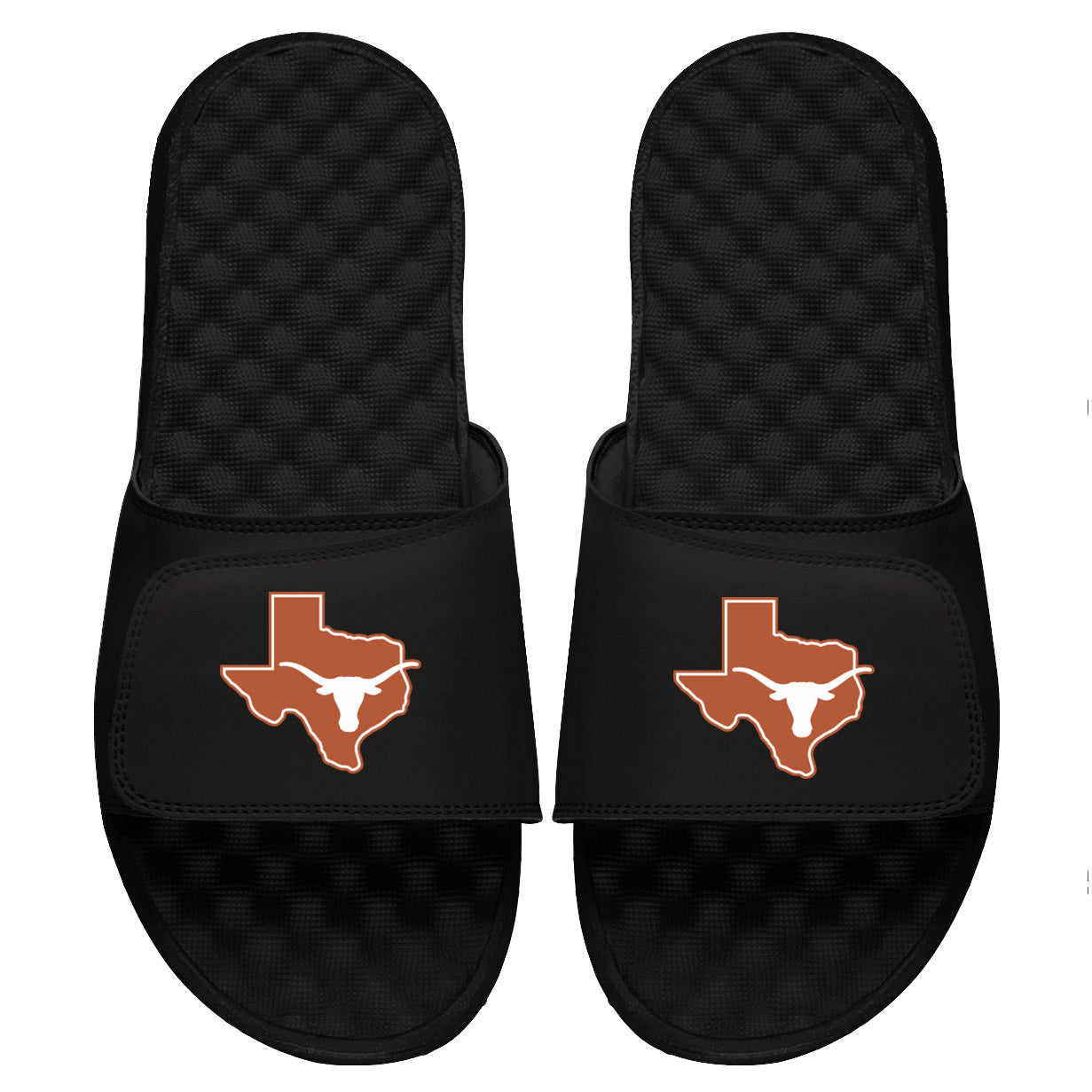 Texas Longhorns State Logo Slides