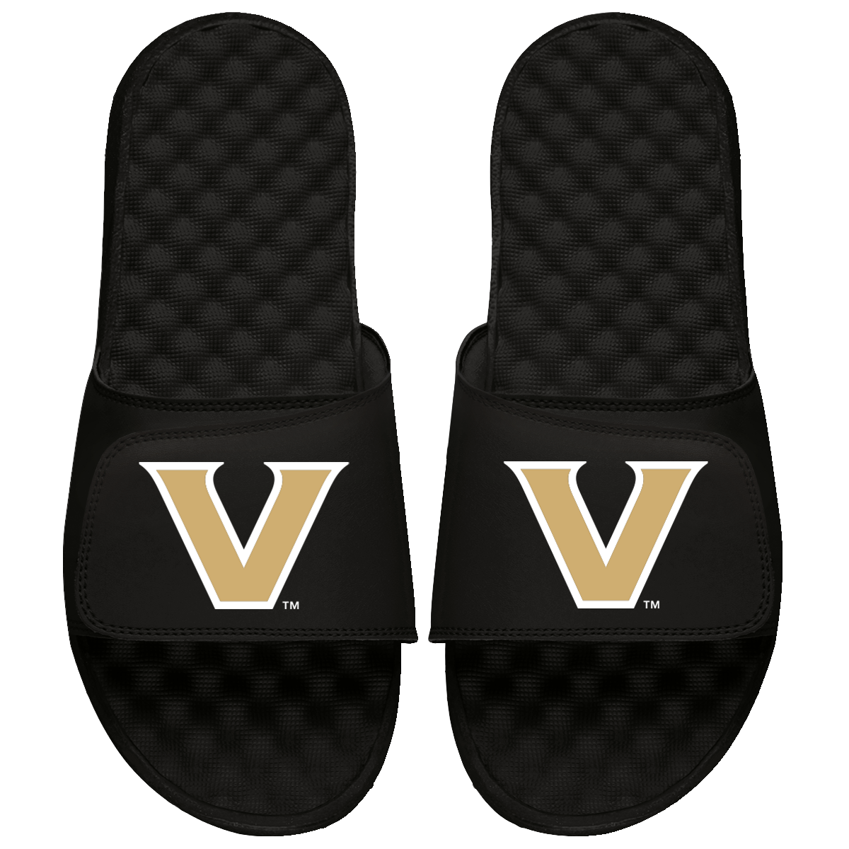 Vanderbilt Primary Slides