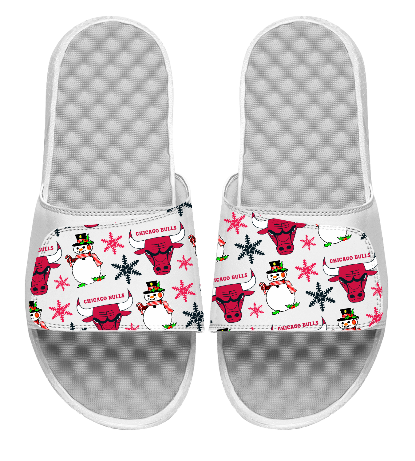 Chicago Bulls NBA Holiday Slides