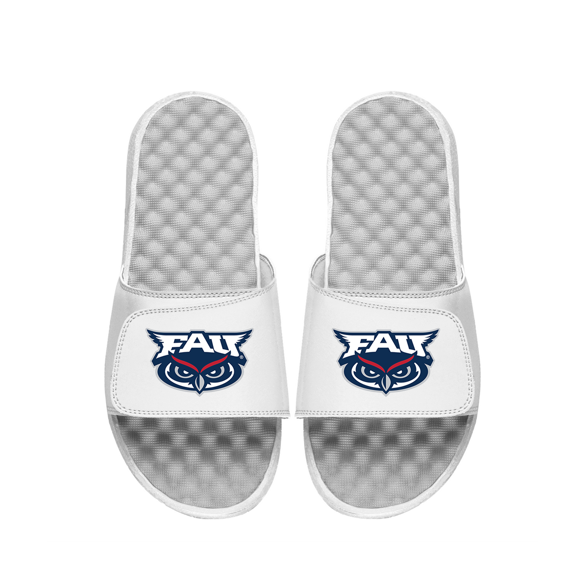 FAU Primary Logo Slides