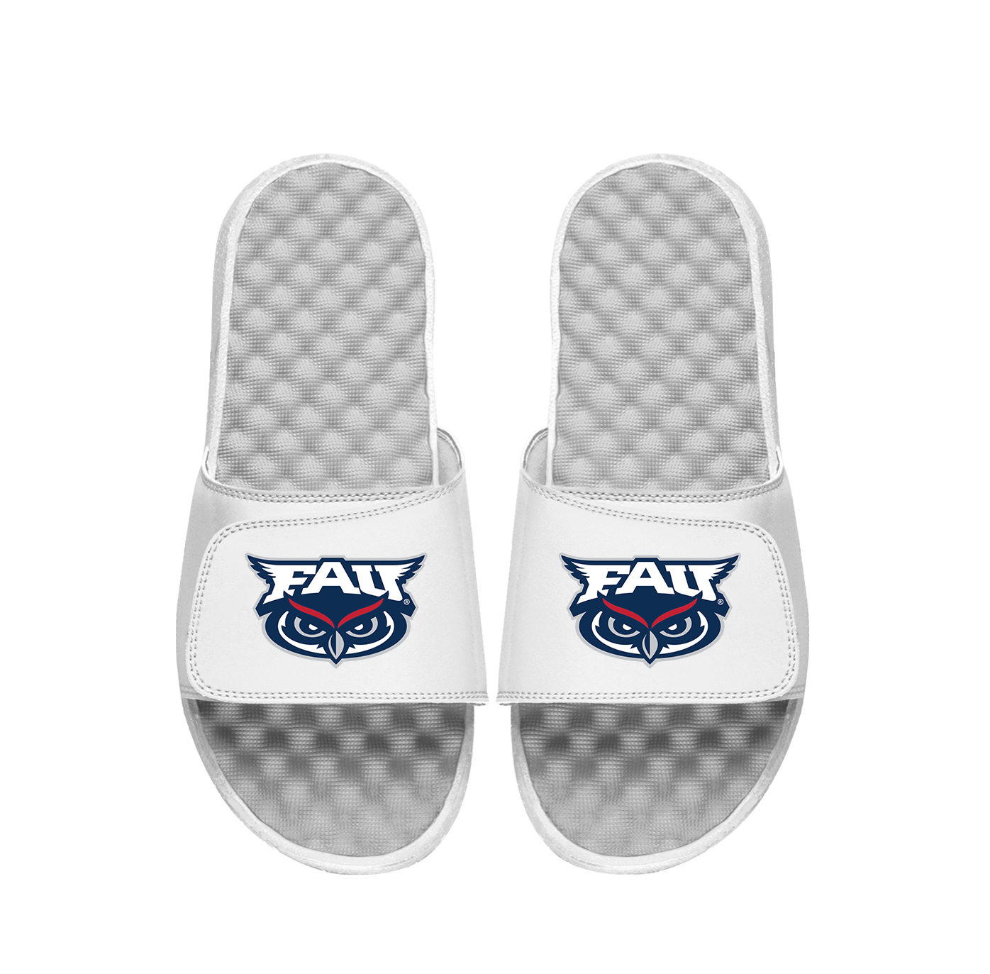 FAU Primary Logo Slides