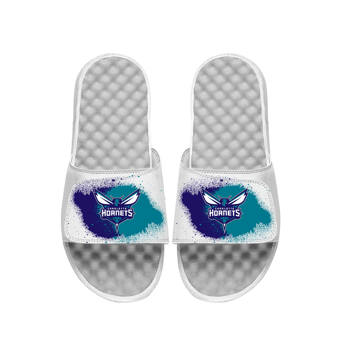 Charlotte Hornets Spray Paint Slides
