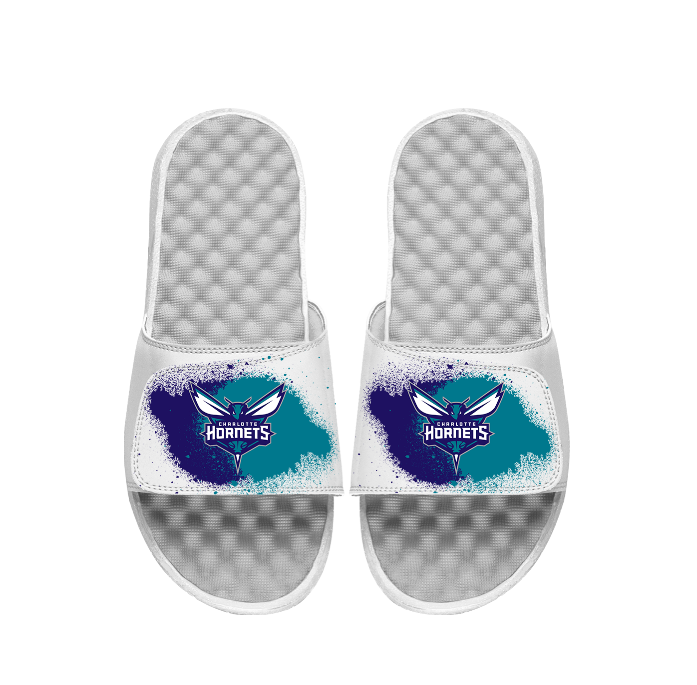 Charlotte Hornets Spray Paint Slides