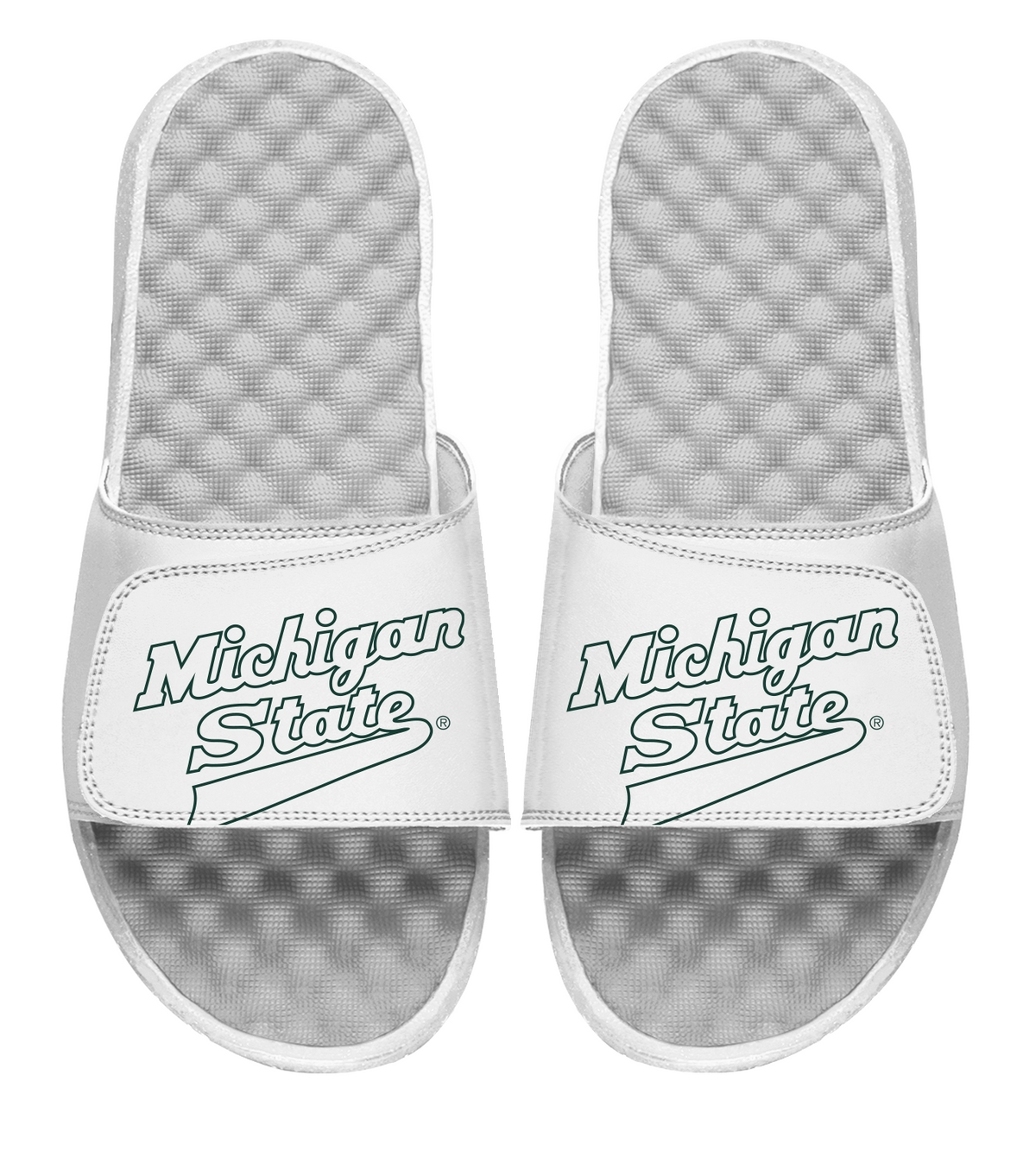 Michigan State l Slides