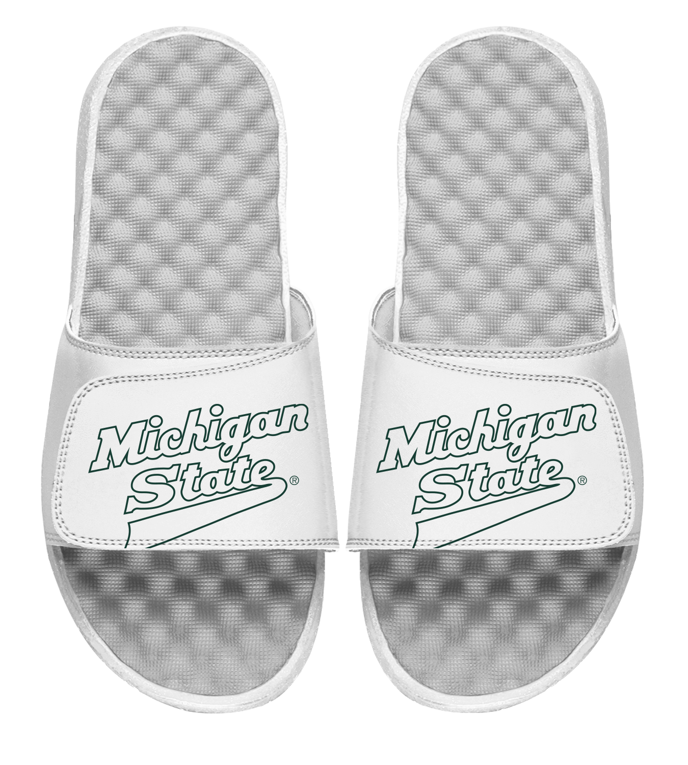 Michigan State l Slides