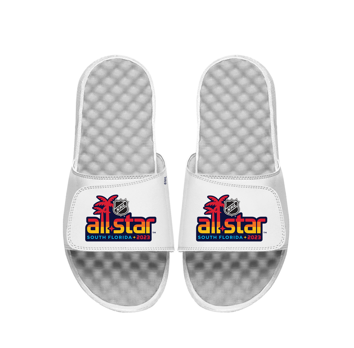NHL 23 ASG Alt Slides