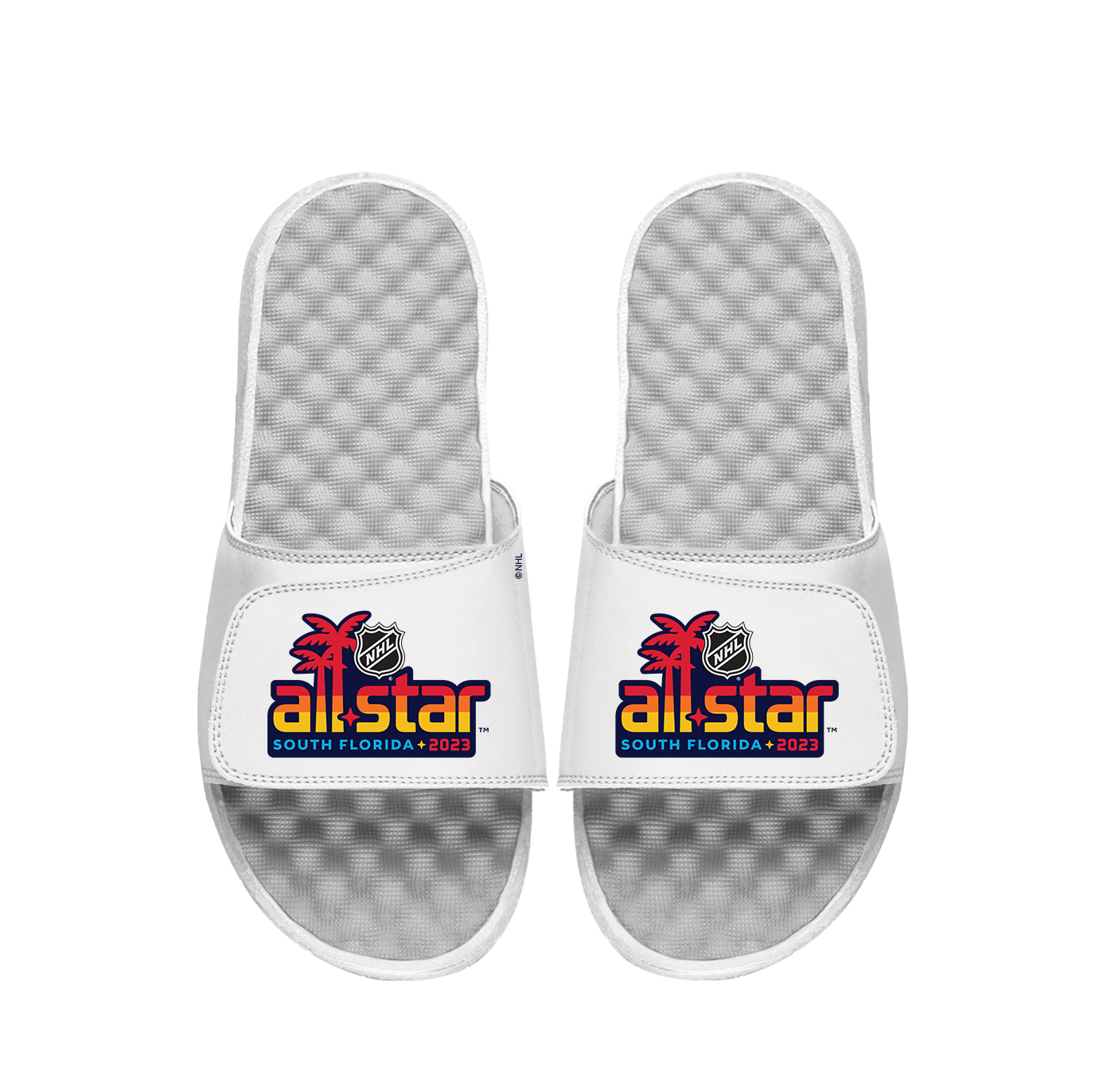 NHL 23 ASG Alt Slides