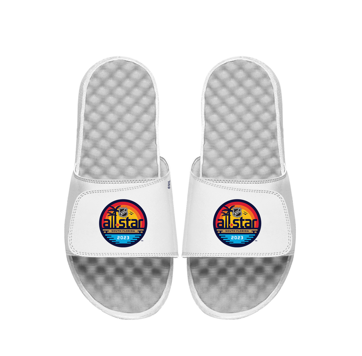 NHL 23 ASG Primary Slides