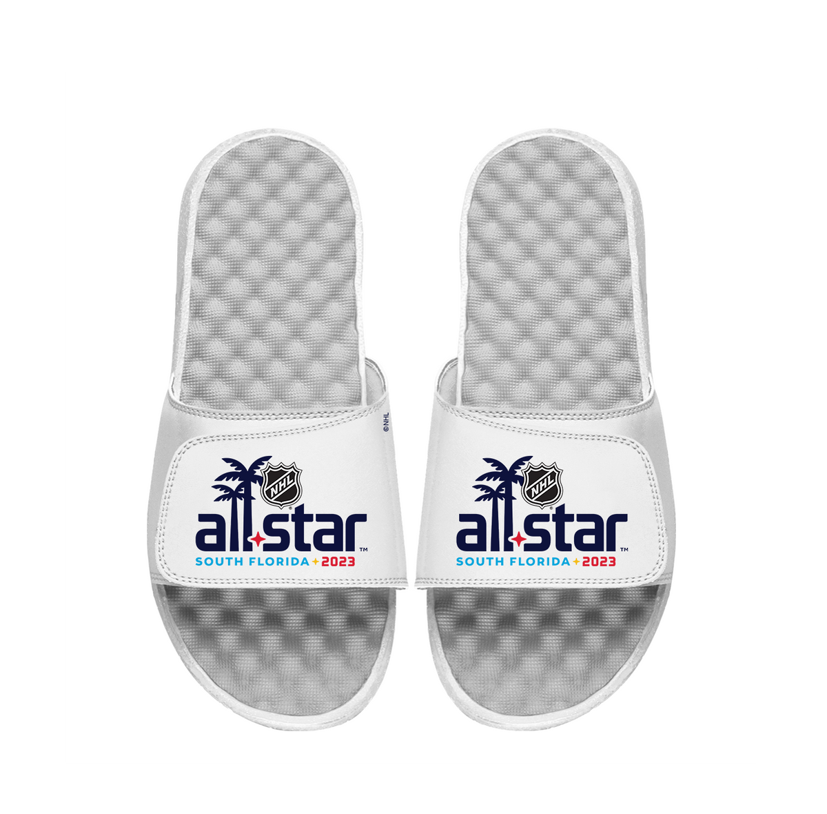 NHL 23 ASG Wordmark Slides