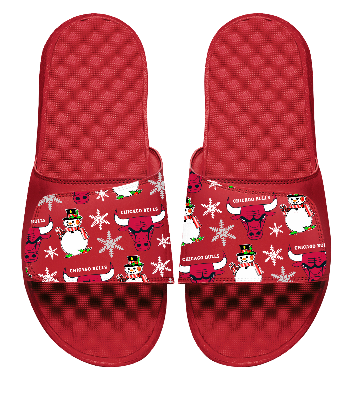 Chicago Bulls NBA Holiday Slides