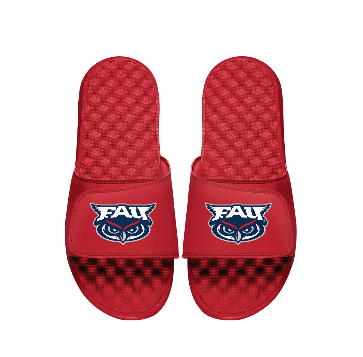 FAU Primary Logo Slides