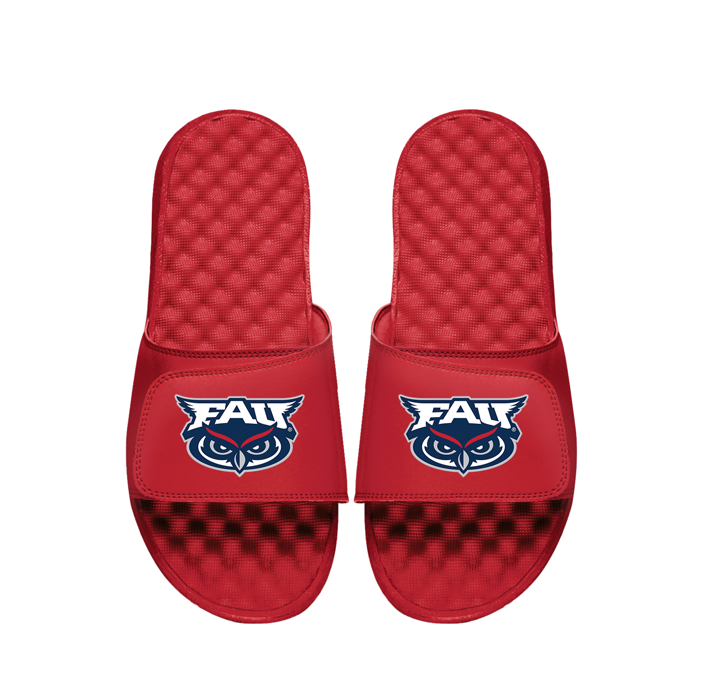 FAU Primary Logo Slides