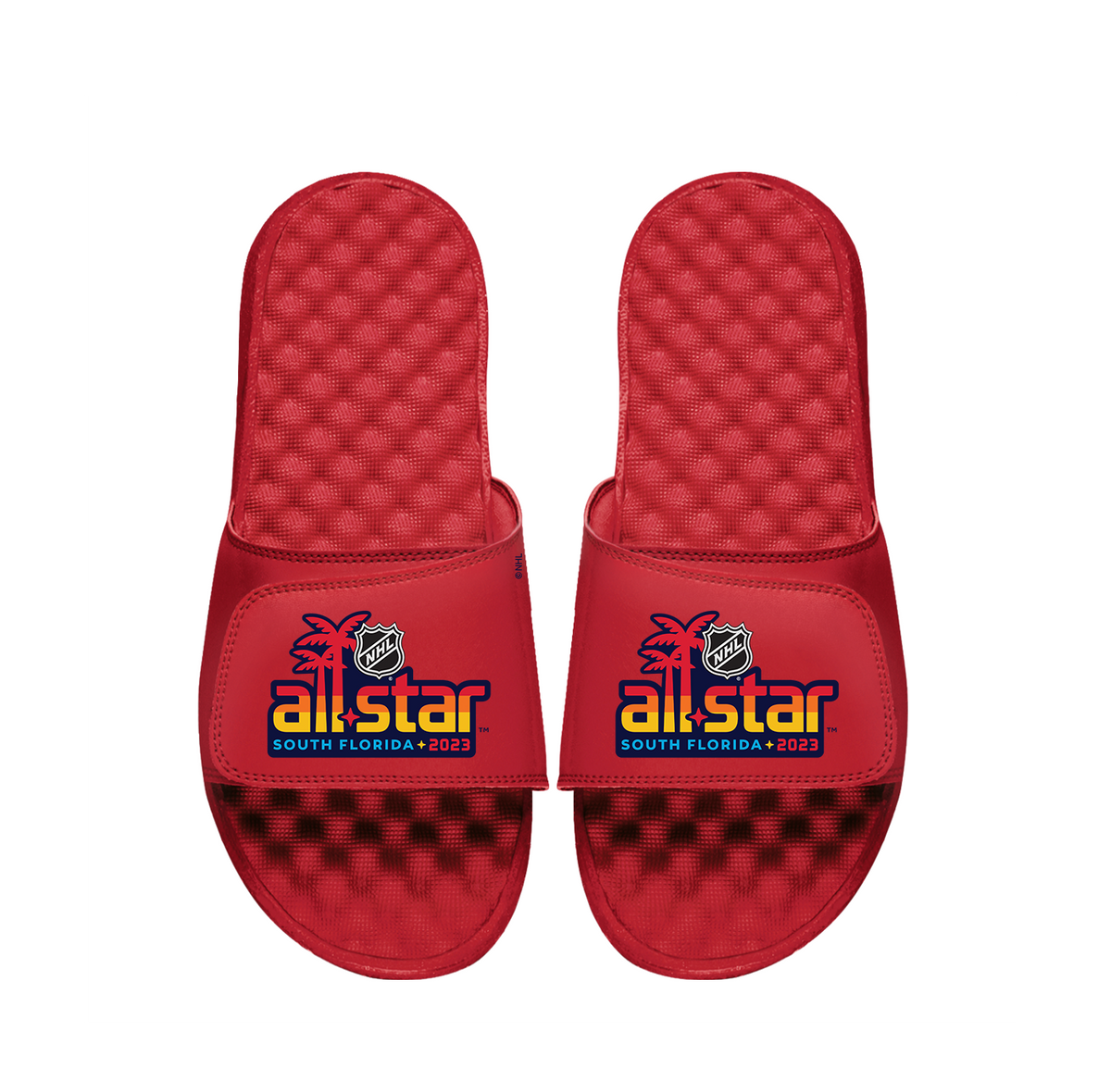 NHL 23 ASG Alt Slides