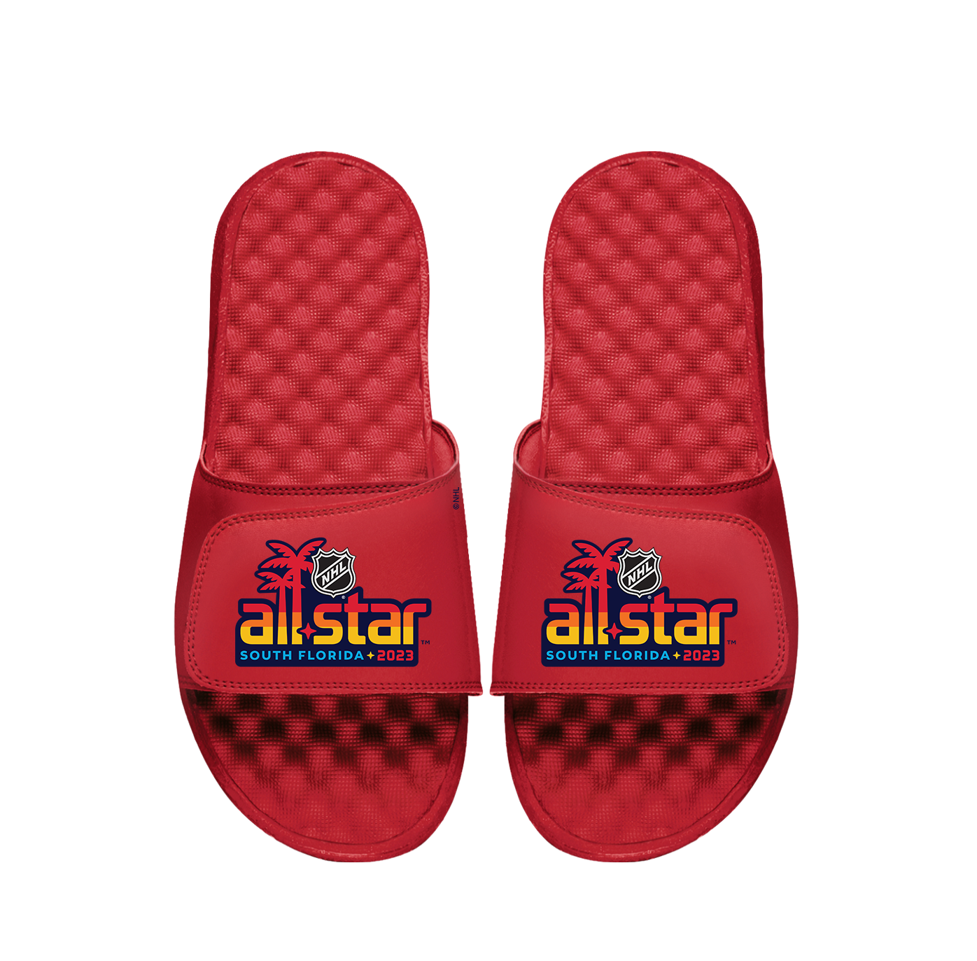 NHL 23 ASG Alt Slides