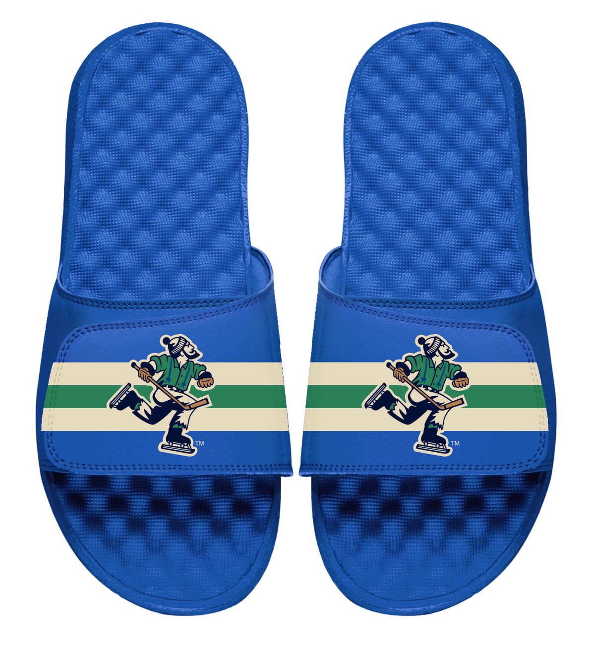 Vancouver Canucks Reverse Retro Slides
