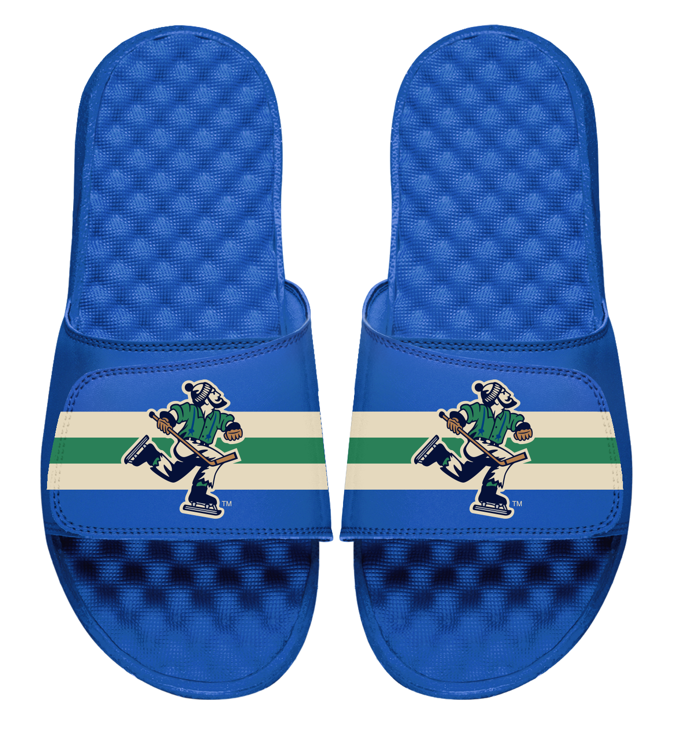 Vancouver Canucks Reverse Retro Slides