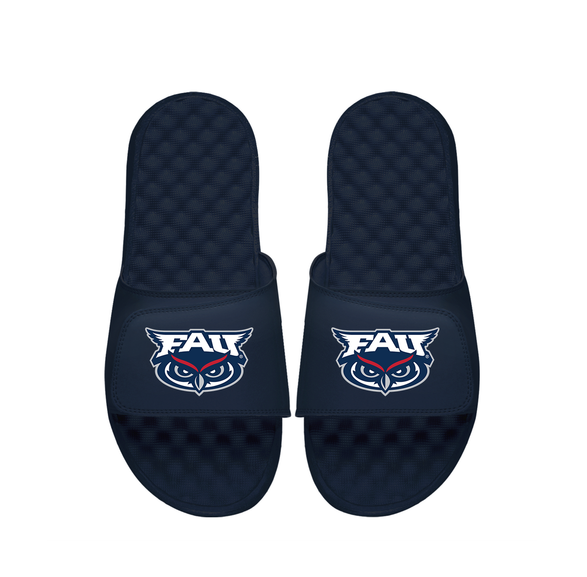 FAU Primary Logo Slides