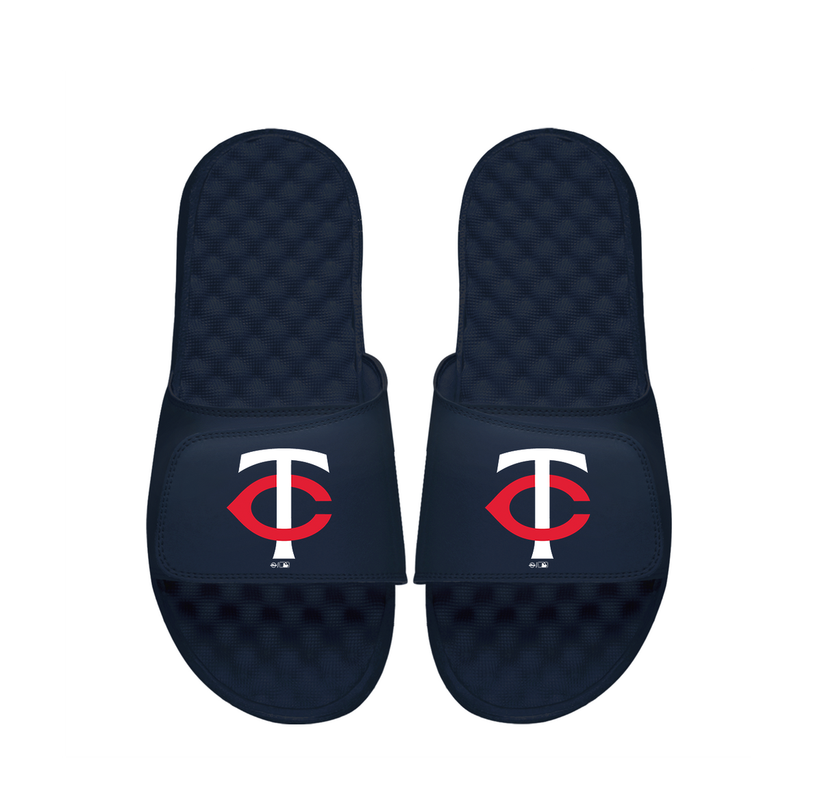 Minnesota Twins Primary Slides