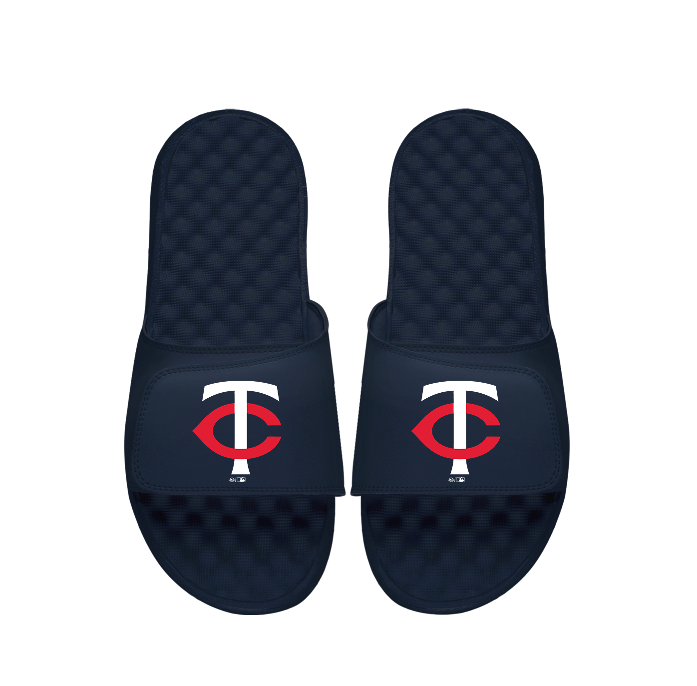 Minnesota Twins Primary Slides