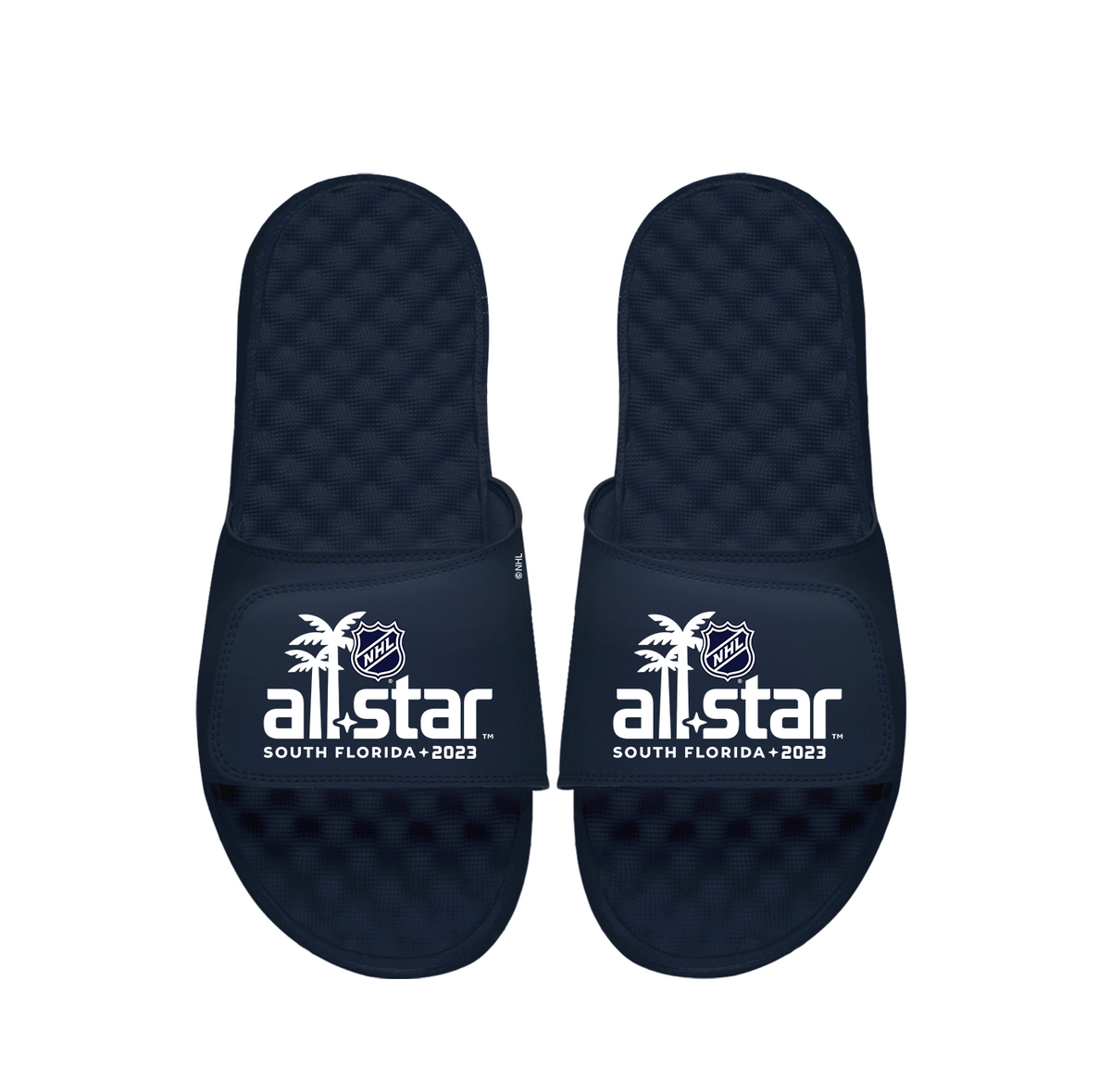 NHL 23 ASG Wordmark Slides