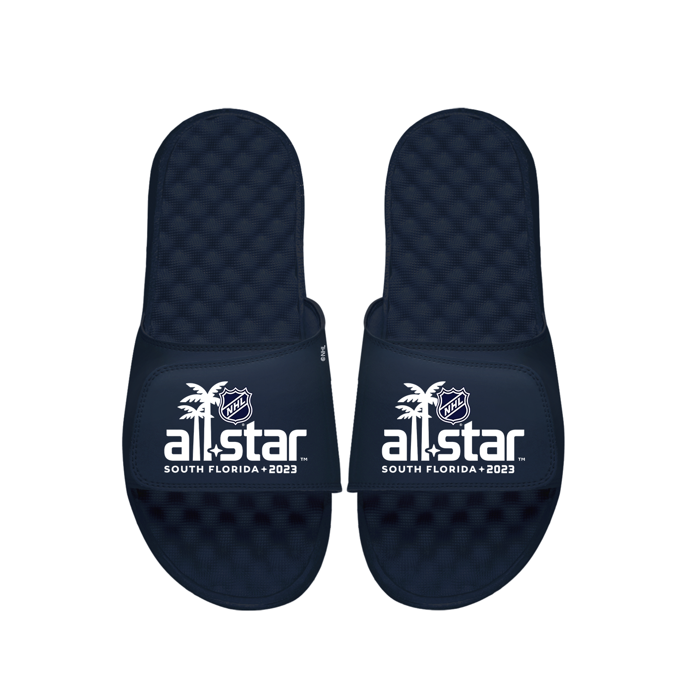 NHL 23 ASG Wordmark Slides