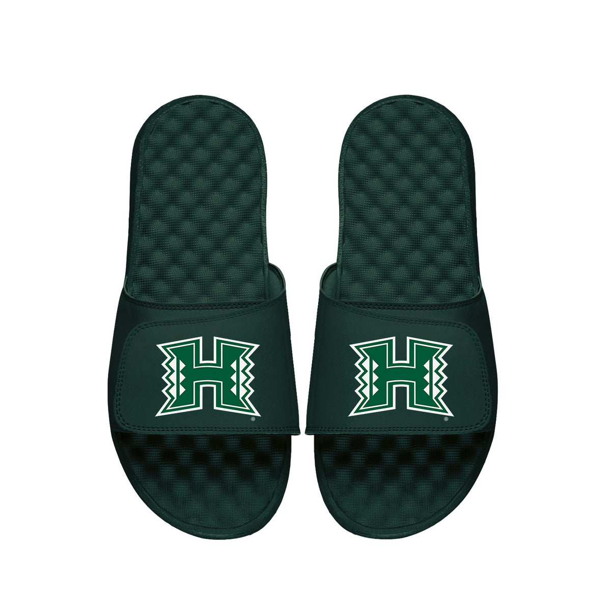 Hawaii Warriors Dark Green Primary Slides