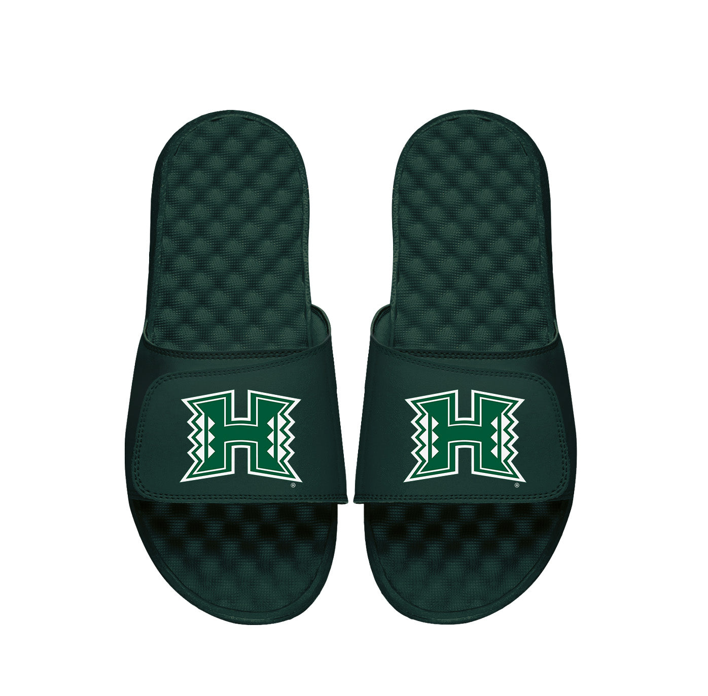 Hawaii Warriors Dark Green Primary Slides