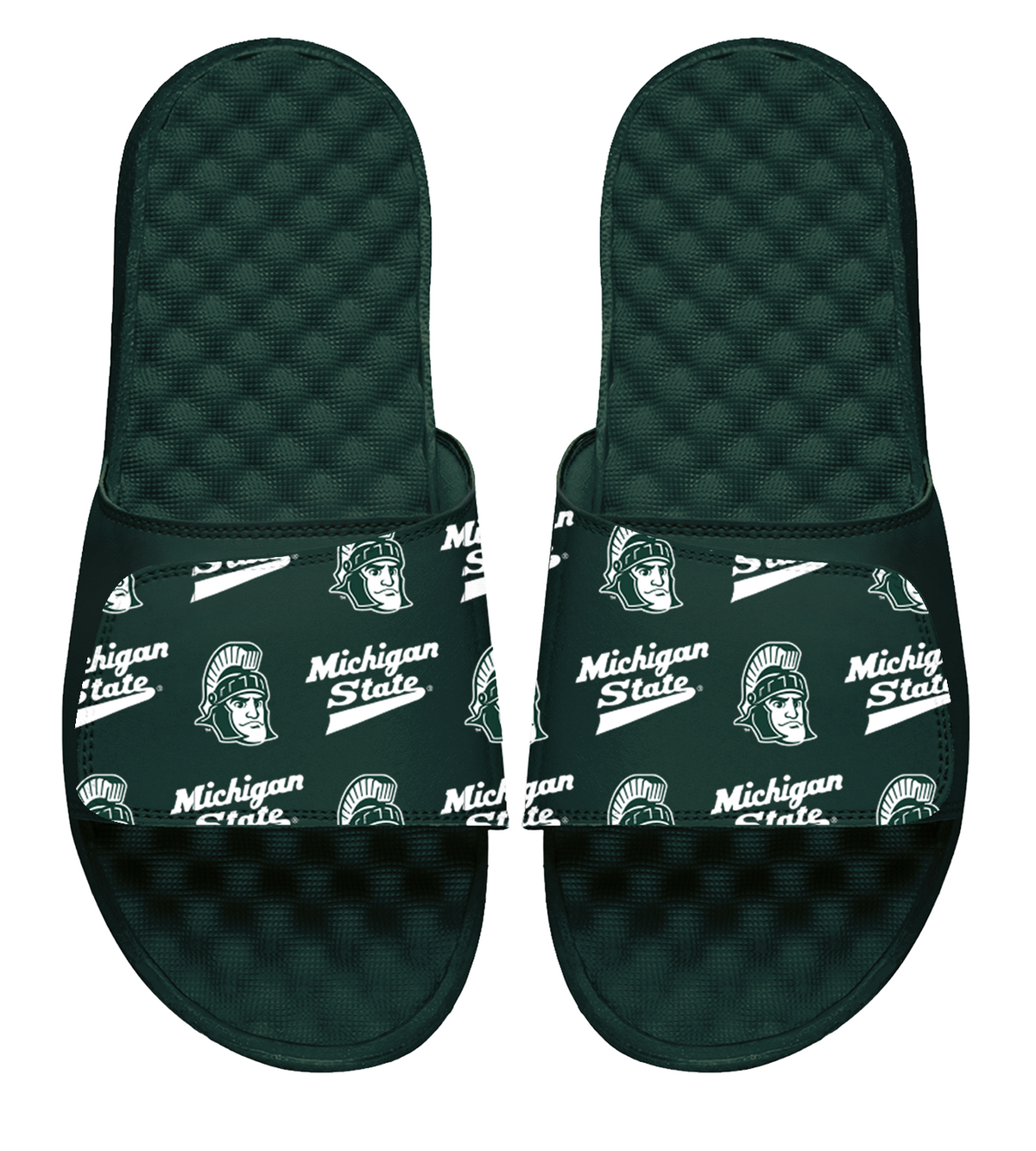 Michigan State Mascot Collage Slides