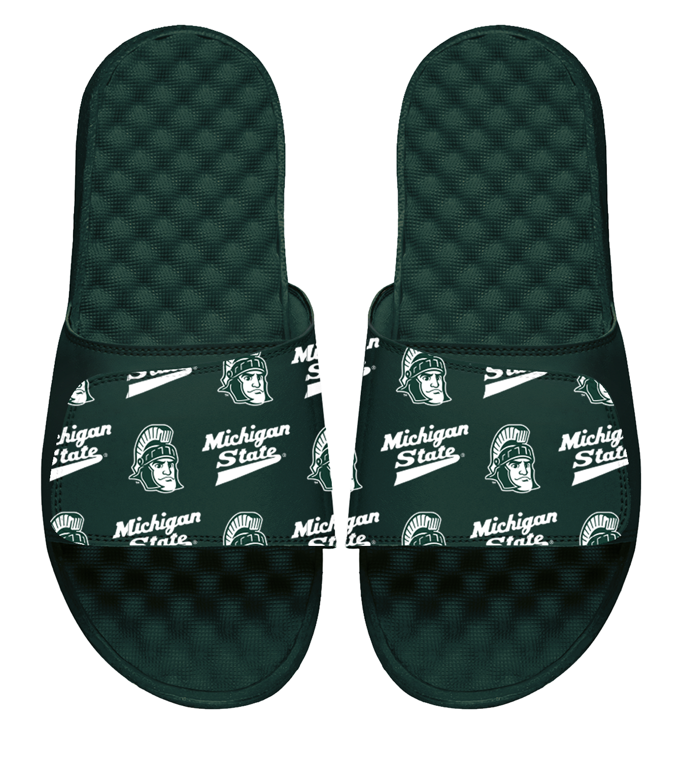 Michigan State Mascot Collage Slides