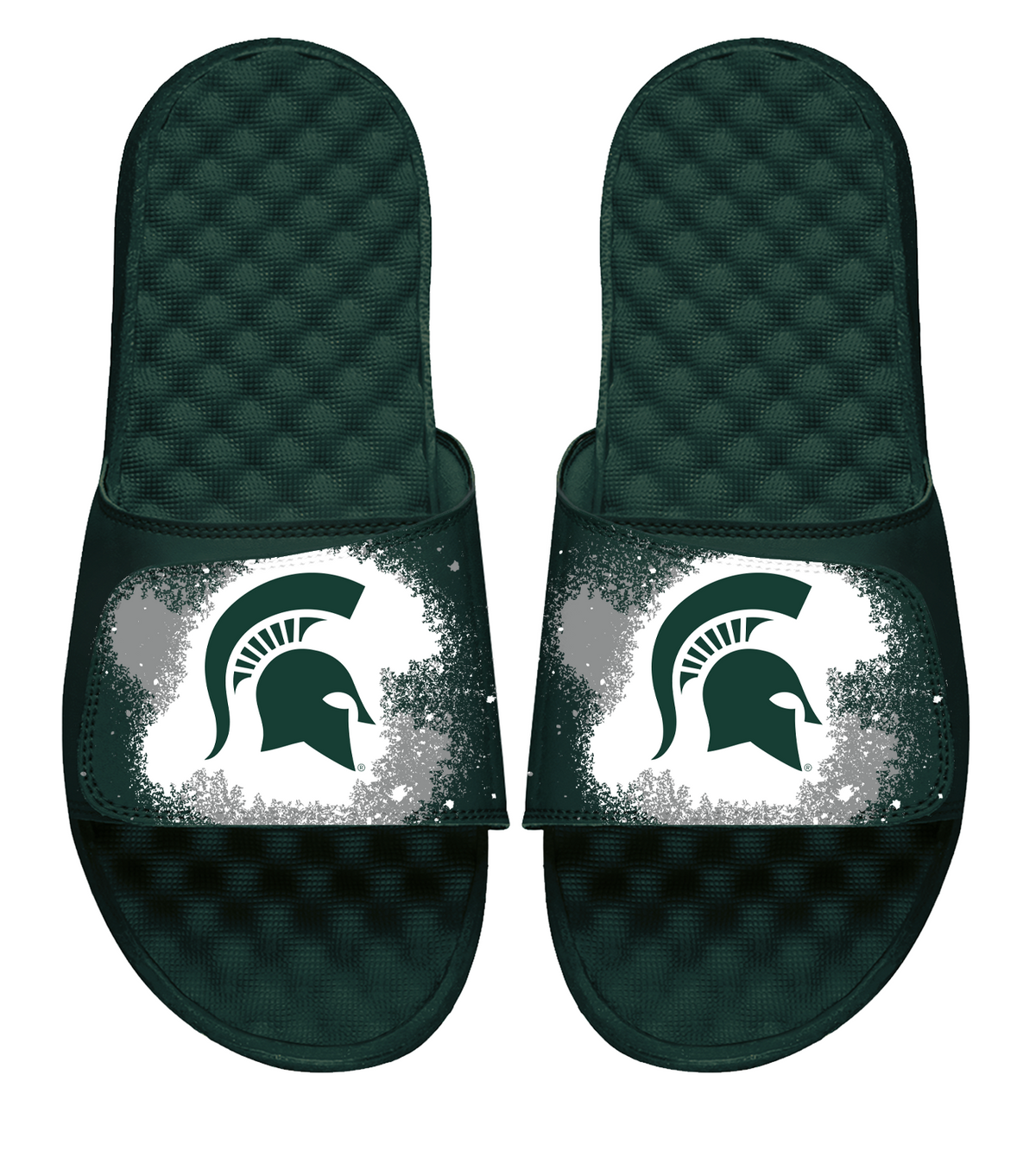 Michigan State Paited Prim Logo Slides