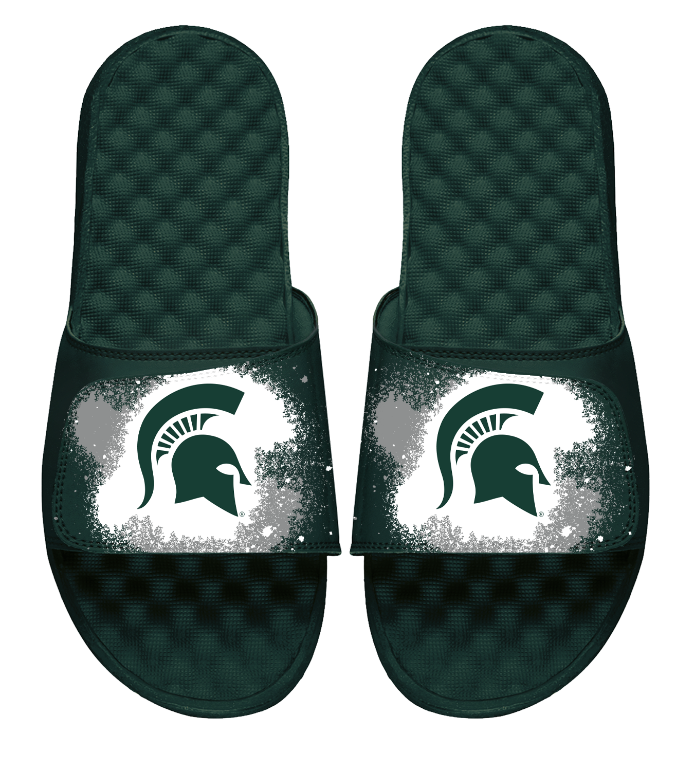 Michigan State Paited Prim Logo Slides