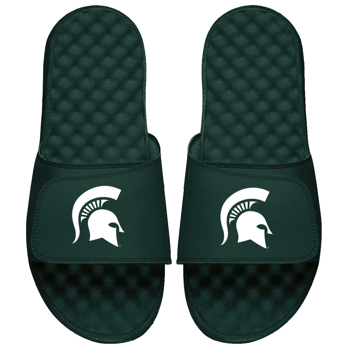 Michigan State Prim Logo Slides