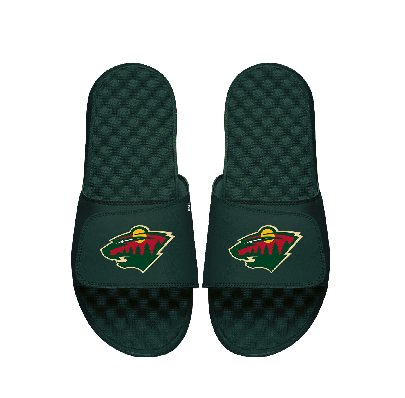 Minnesota Wild Dark Green Primary Slides