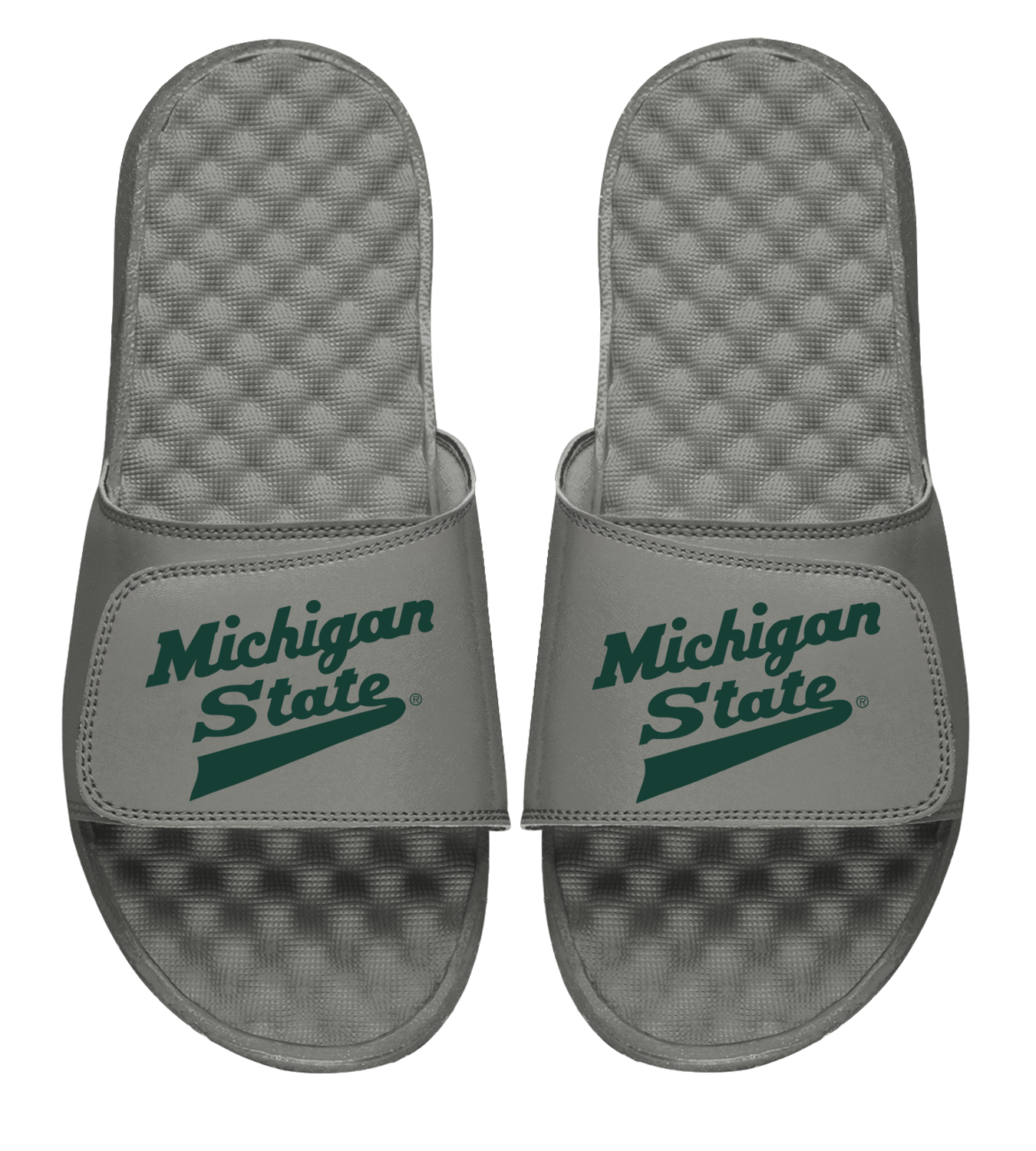 Michigan State Alt Logo Slides
