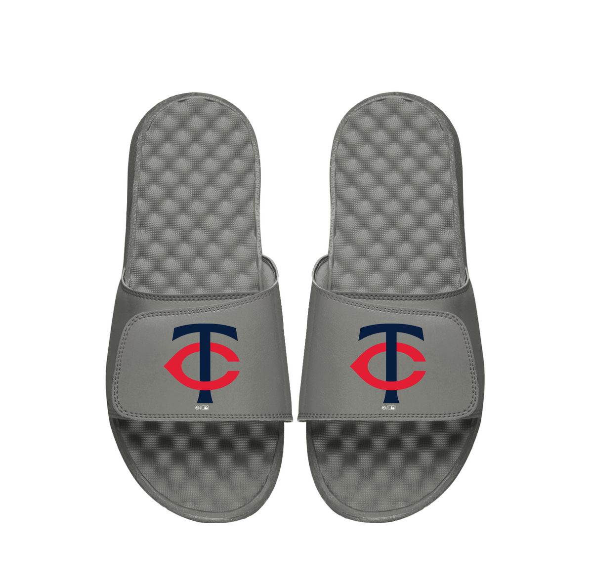 Minnesota Twins Primary Slides