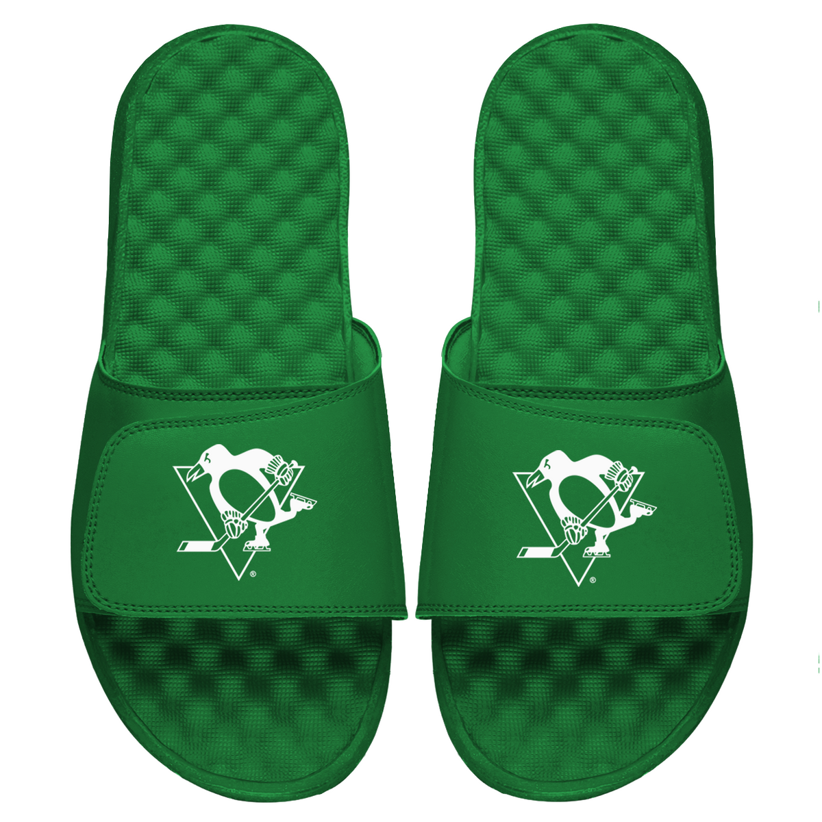 PIT Penguins Whiteout Slides