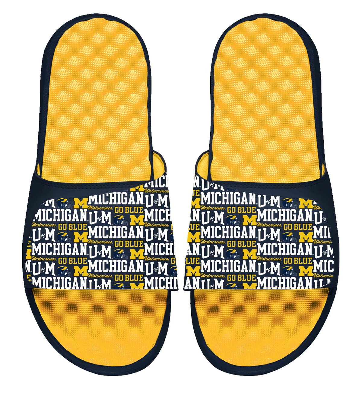 Michigan Maize Collage Slides