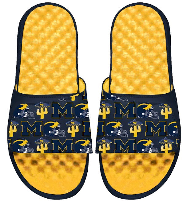 Michigan Maize Fiesta Bowl Collage Slides