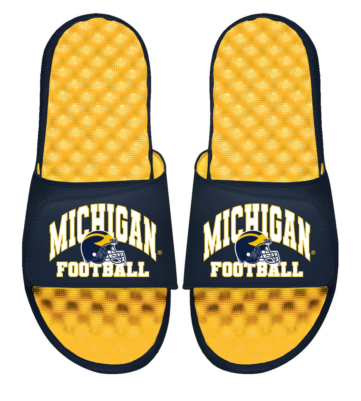 Michigan Football Helmet Slides