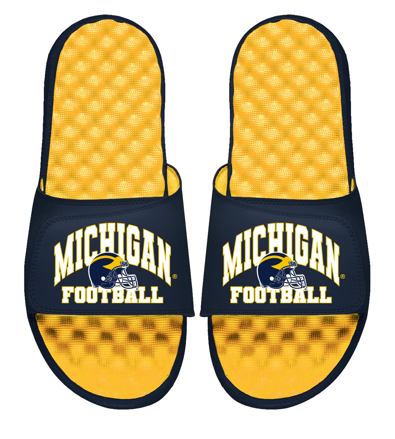 Michigan Football Helmet Slides