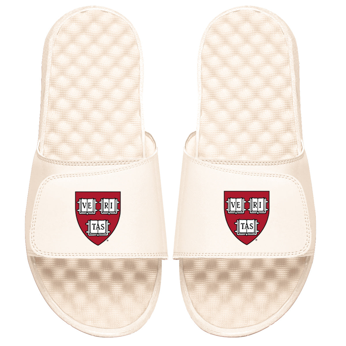 Cream Crest Logo Slides - ISlide