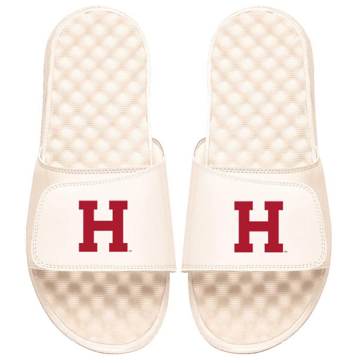 Cream H Block Logo Slides