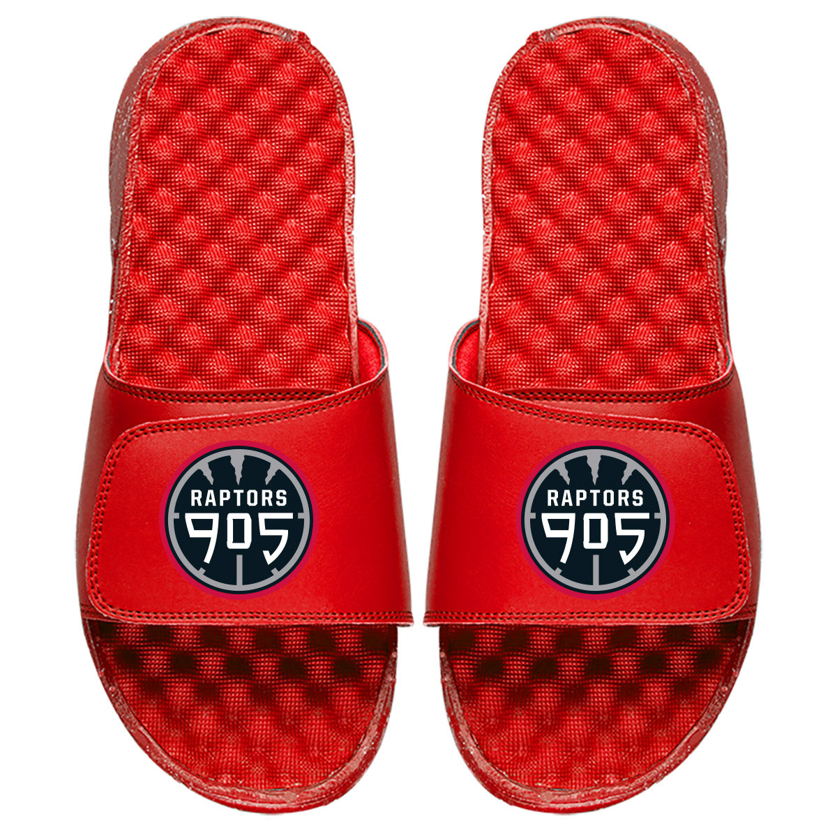 905 Raptors - ISlide