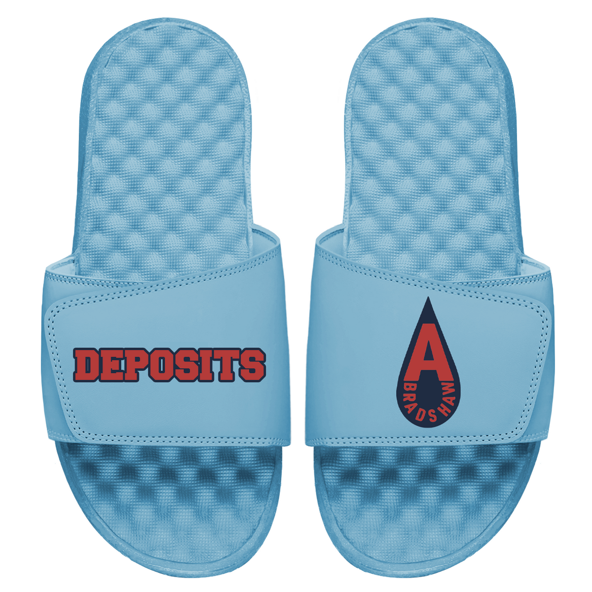 Araion Bradshaw Deposits Slides