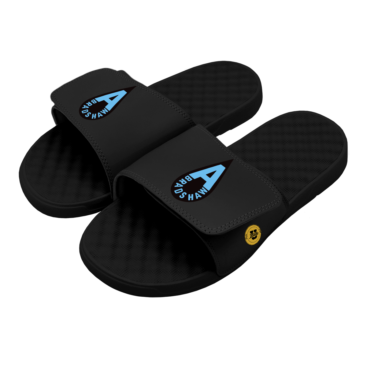 Araion Bradshaw Raindrop Slides