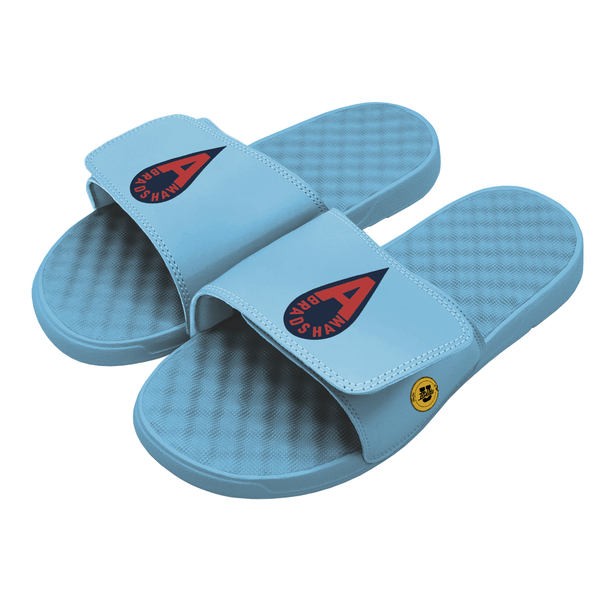 Araion Bradshaw Raindrop Slides